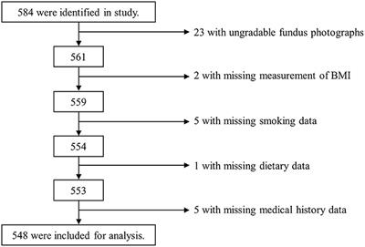 Dietary Vitamins A, C, and Potassium Intake Is Associated With Narrower Retinal Venular Caliber